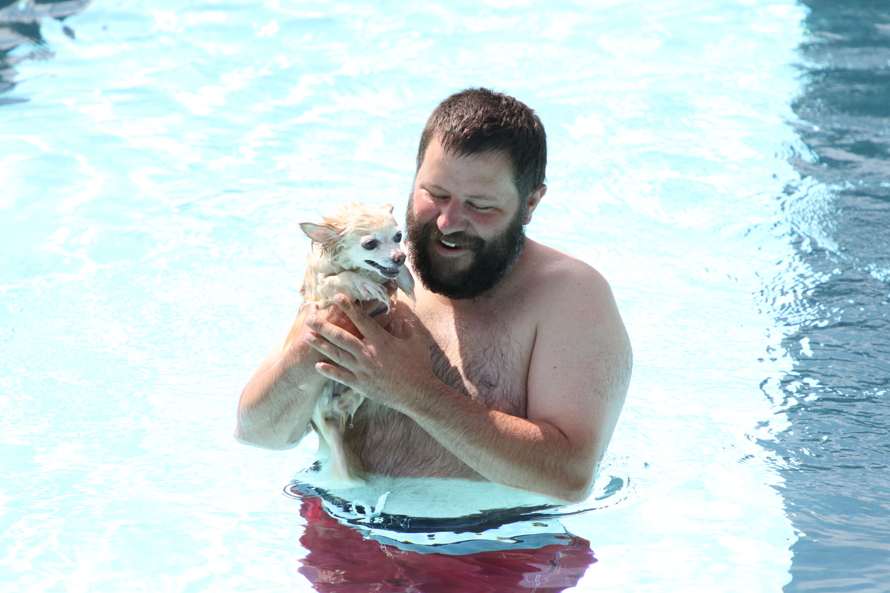 Dogs at the pool (1).JPG